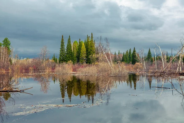 Spring flooding in Siberia — Stock Photo, Image