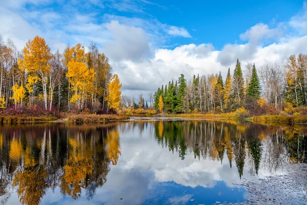 Mooie herfst landschap met bos lake Stockafbeelding