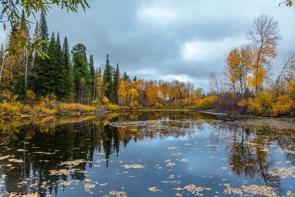 Herbst in Sibirien — Stockfoto