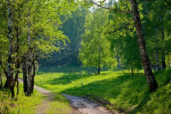 Soliga landskap — Stockfoto