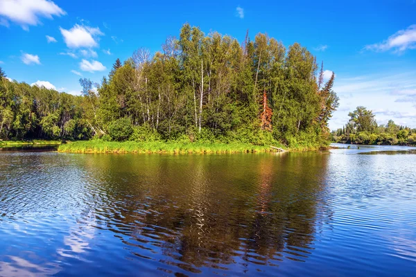 Natur Sibiriens an einem sonnigen Sommertag — Stockfoto