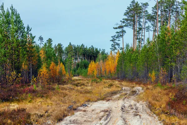 Природа Сибири осенью — стоковое фото