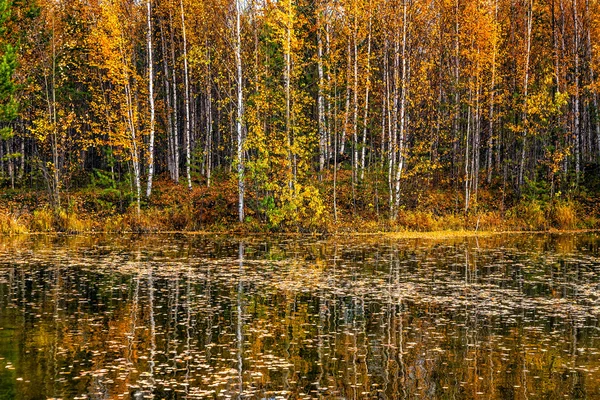 Prachtig herfstlandschap — Stockfoto