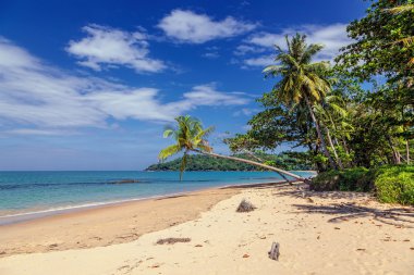 khao lak Tay il tropikal plaj