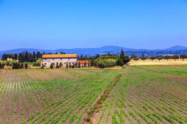 Paisagem rural na Toscana — Fotografia de Stock