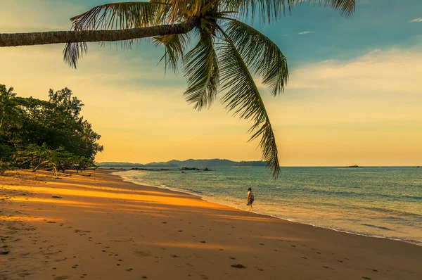 Soluppgång över stranden — Stockfoto