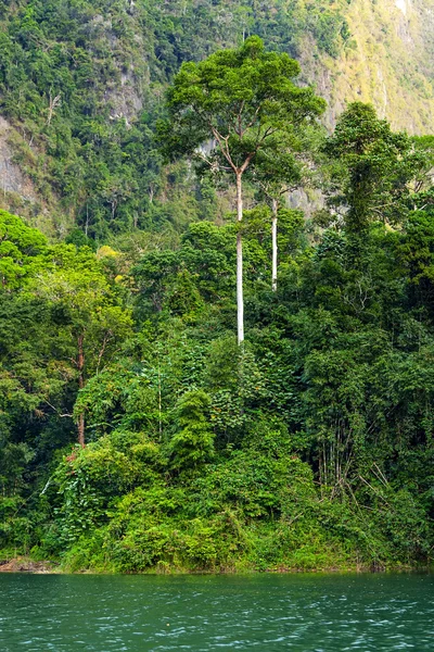 Tropischer Regenwald am See cheo lan in Thailand — Stockfoto