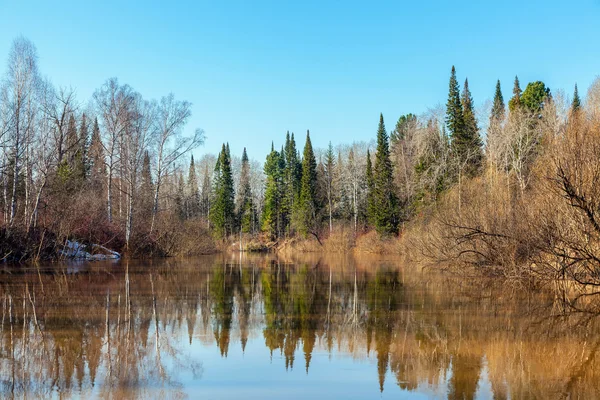 Jarní povodeň Chet řeka v — Stock fotografie