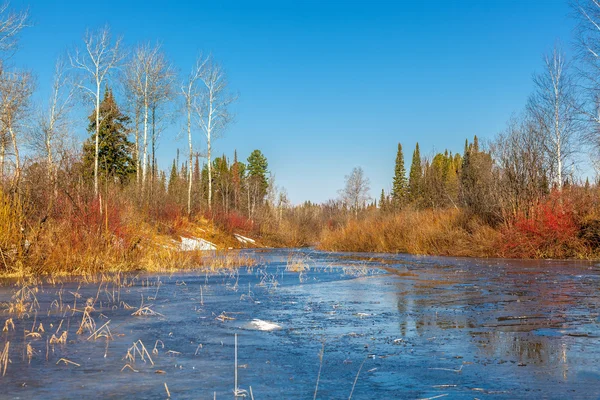 Spring Siberian landscape — Stock Photo, Image