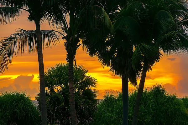 Zonsondergang op het eiland phuket in thailand — Stockfoto