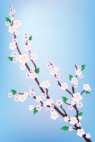 Branche d'un arbre à fleurs . — Image vectorielle