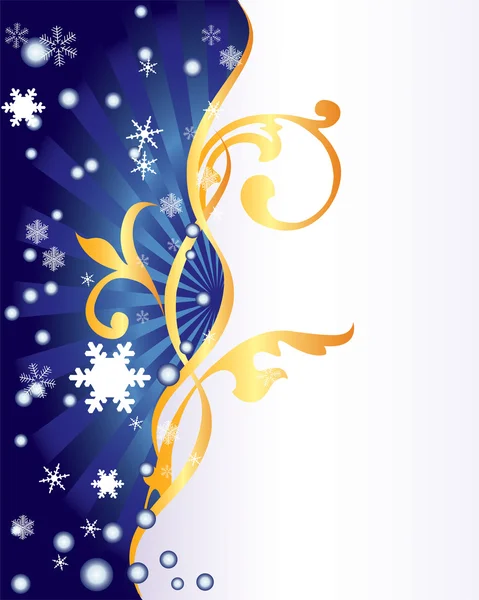 Winter ornament. — Stockvector