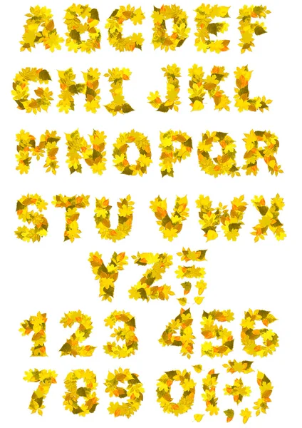 Ábécé - betűk és számok, őszi levelek — Stock Fotó