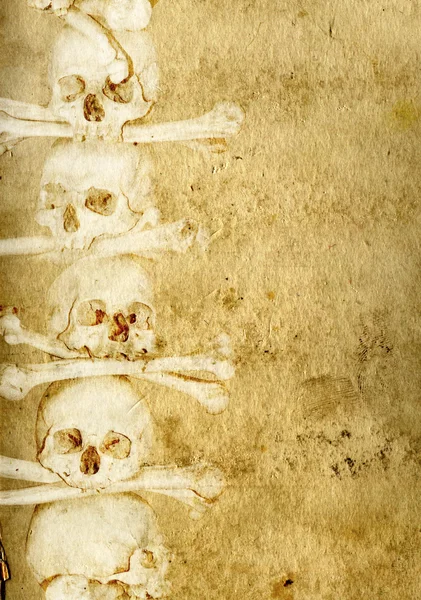 Antecedentes con cráneos y huesos humanos —  Fotos de Stock