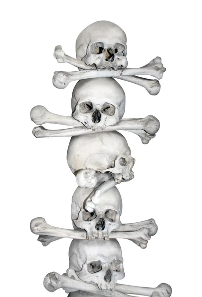 Ανθρώπινο κρανίο και τα οστά — Φωτογραφία Αρχείου
