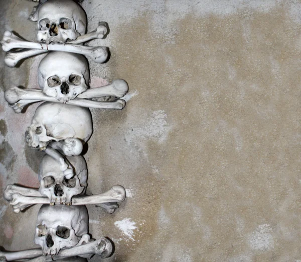 Human skulls and bones — Stock Photo, Image