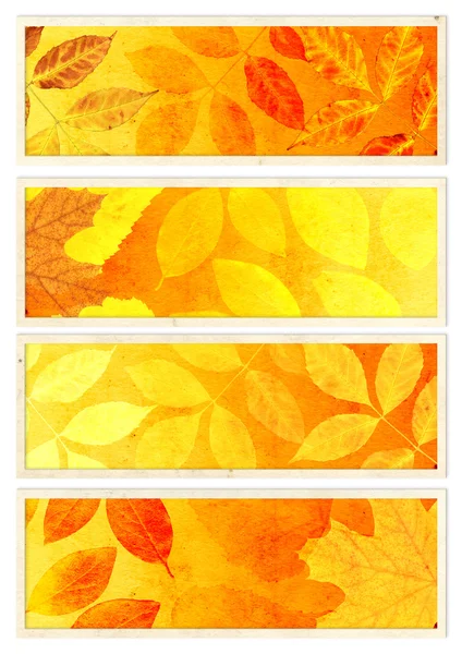 Coleção de banners de outono — Fotografia de Stock