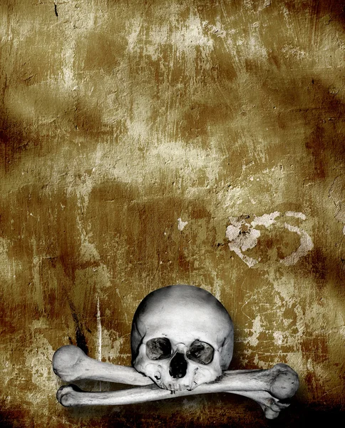 Emberi koponyák és csontok — Stock Fotó