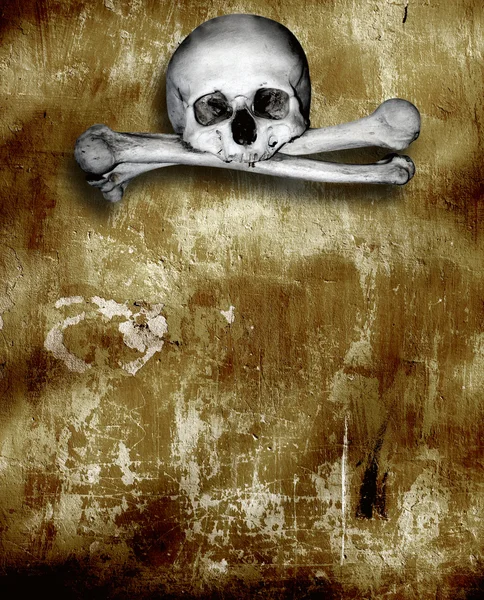 Human skulls and bones — Stock Photo, Image