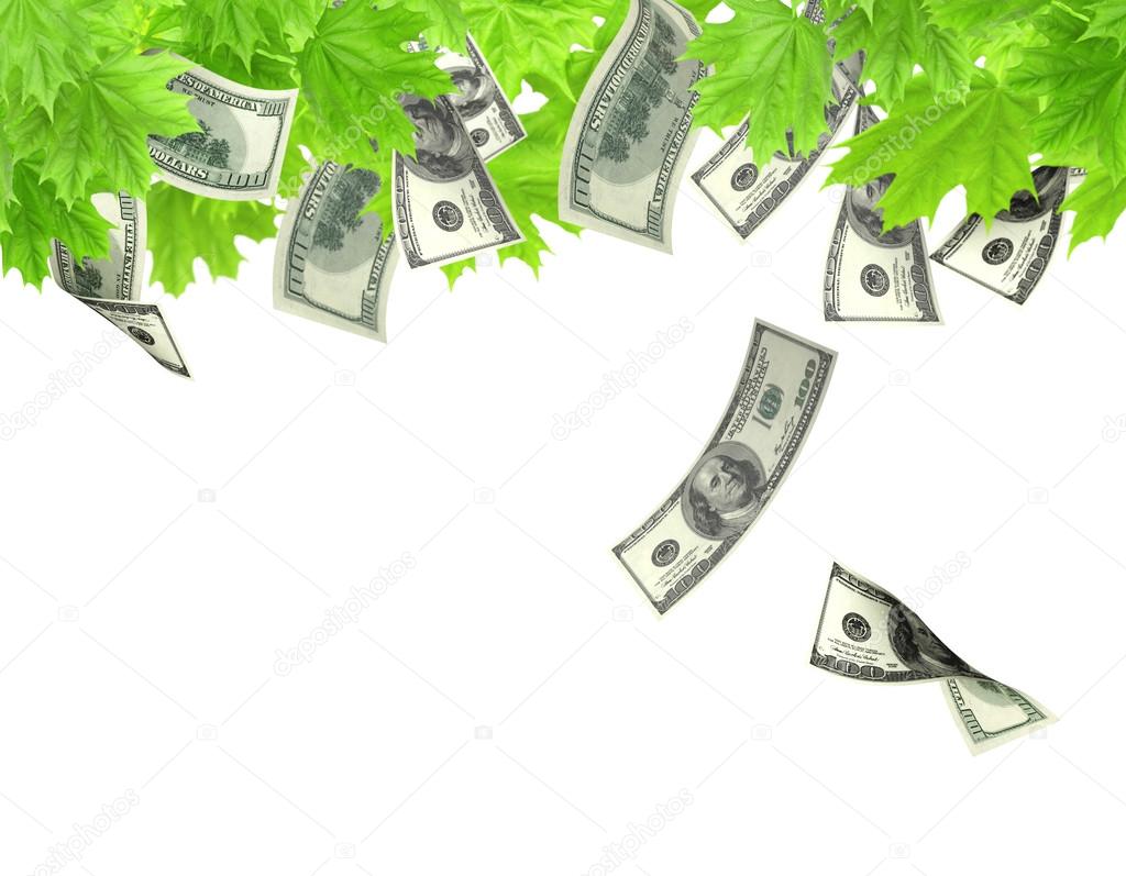 Money tree — Stock Photo © frenta 15760979