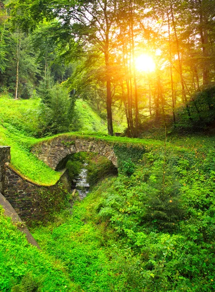 Alte Brücke — Stockfoto