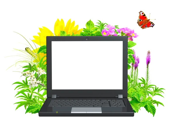 Laptop en groene bladeren — Stockfoto