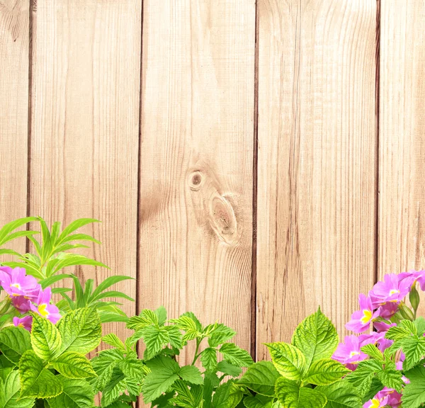 Summer background — Stock Photo, Image