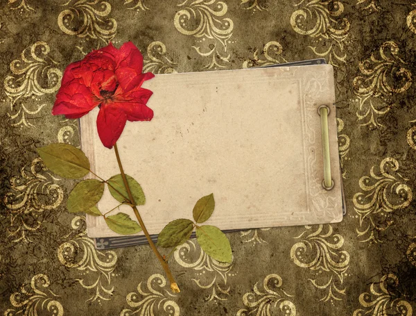 Old cards and dry rose — Stock Photo, Image