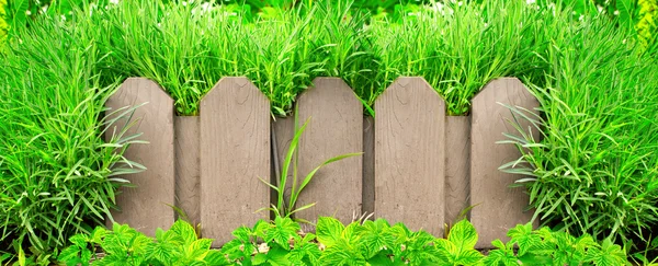 Cerca de madera y hierba verde — Foto de Stock