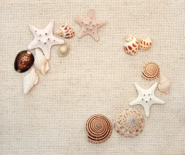 Starfishes and conches on canvas texture — Stock Photo, Image