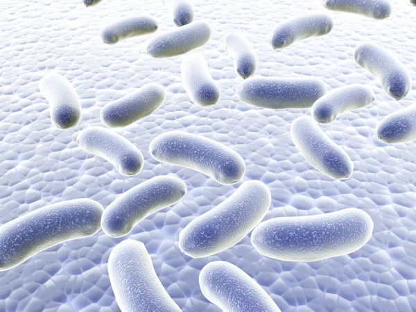 Колония бактерий — стоковое фото