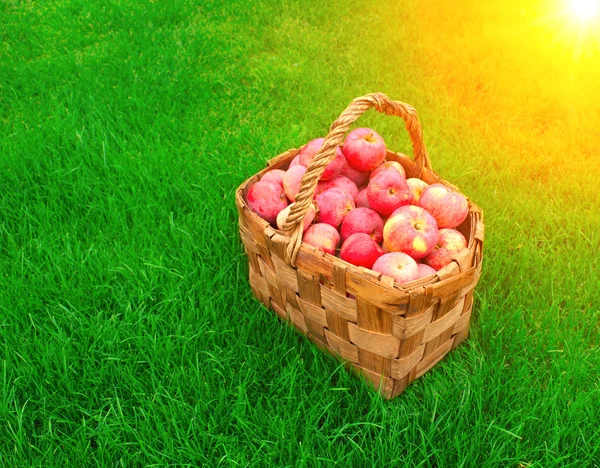 Crop of apples — Stock Photo, Image