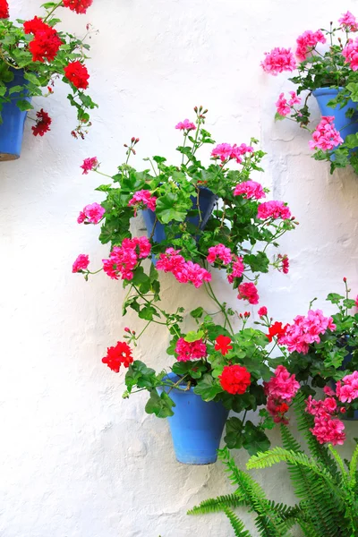 Flowerpots with geranium — Stock Photo, Image