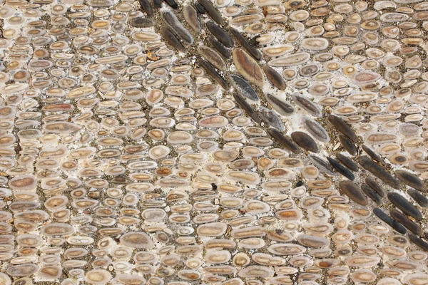 Piedra de pavimentación antigua — Foto de Stock