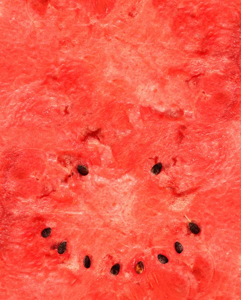 Melon d'eau souriant — Photo