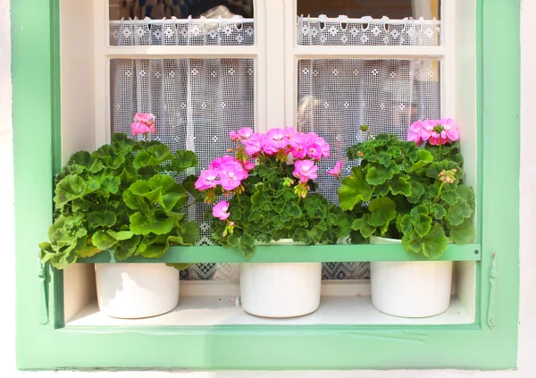 Flowerpots with geranium — Stock Photo, Image