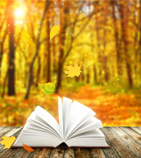 Libro otoño fotos de stock, imágenes de Libro otoño sin ...