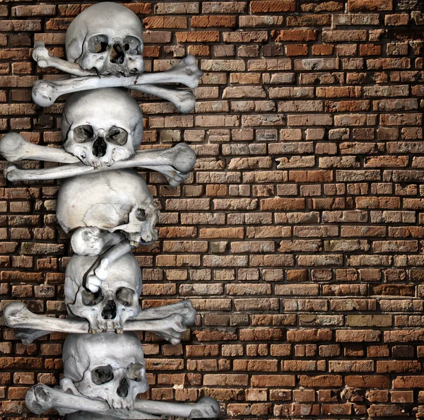 Calaveras y huesos humanos — Foto de Stock