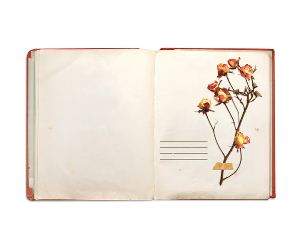 Old book and dried flowers of rose — Stock Photo, Image