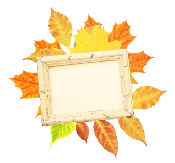 Осіннє листя і дерев'яна рамка — стокове фото