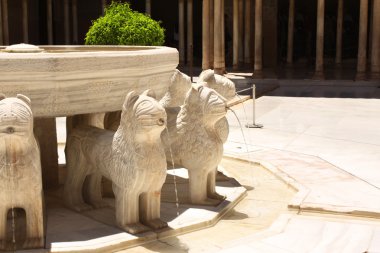 Aslan Çeşmesi alhambra Kalesi'nde, İspanya