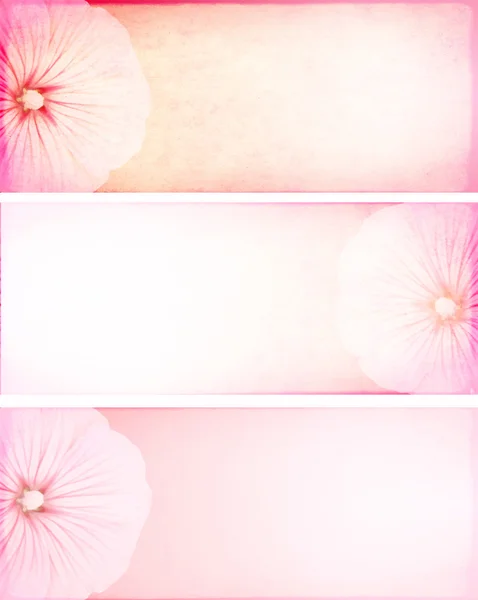 Baner z kwiatami — Zdjęcie stockowe