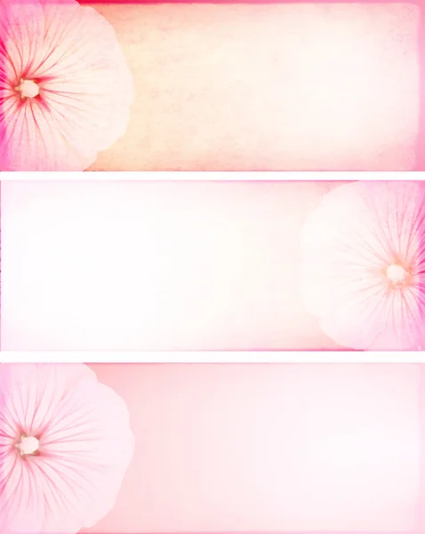 Banner with flowers — Stock Photo, Image