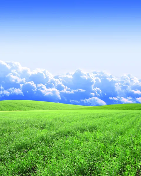 Schöne Landschaft mit grünen Hügeln — Stockfoto