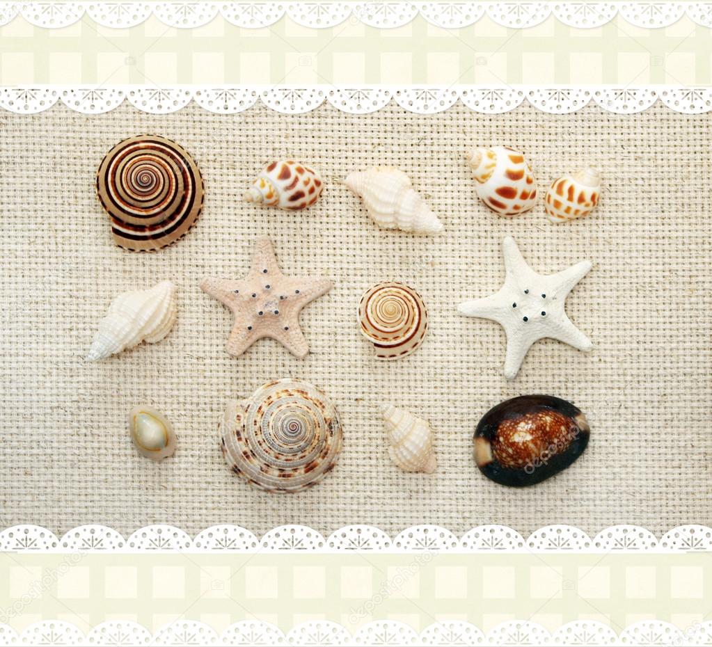 Starfishes and conches on canvas texture