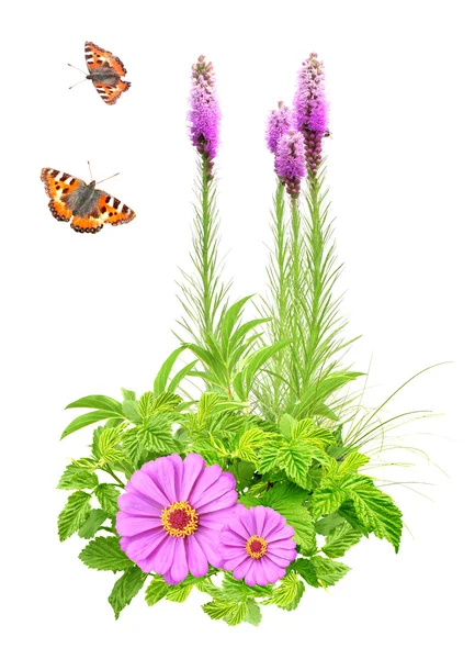 Flores de verão, folhas verdes e borboleta — Fotografia de Stock