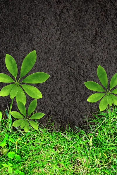 Nature background with green grass and soil — Stock Photo, Image