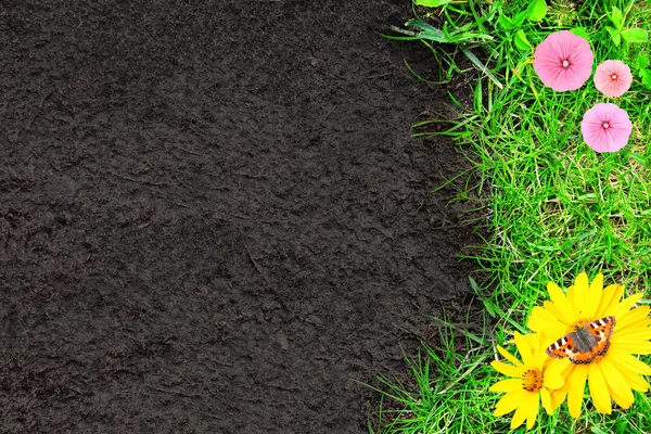 Natura tło z zieloną trawą i gleby — Zdjęcie stockowe