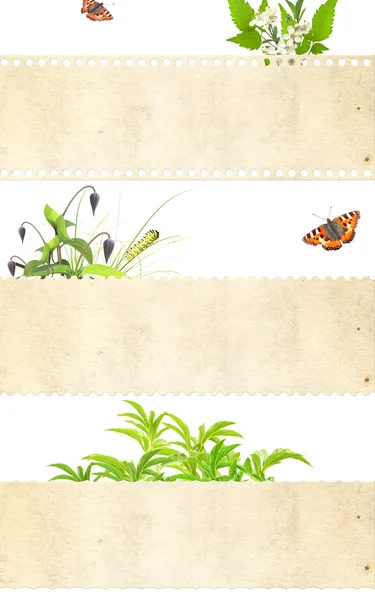 Set of nature banners — Stock Photo, Image