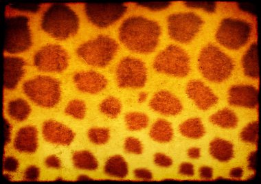 hayvan deri desenli kağıt doku